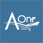 A ONE DIVING